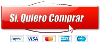 PayPal. La forma rápida y segura de pagar en Internet.