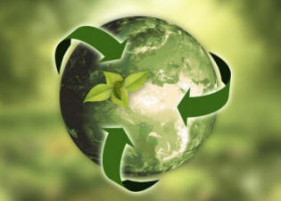 Eco-friendly, por qu debemos practicar este estilo de vida?